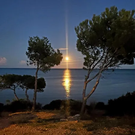Vista Alegre